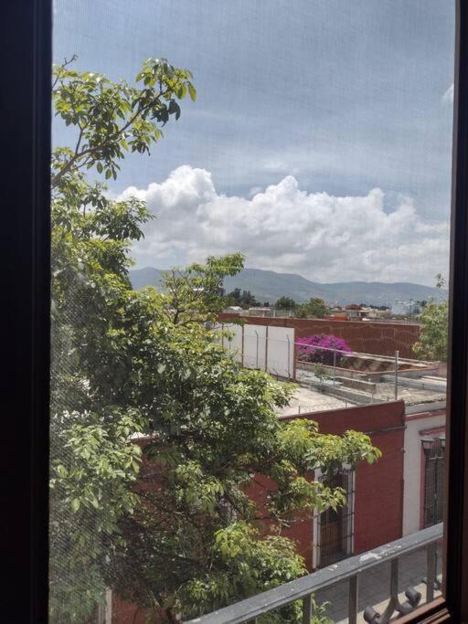 M1010 Agradable Departamento Centrico En Oaxaca Apartamento Exterior foto
